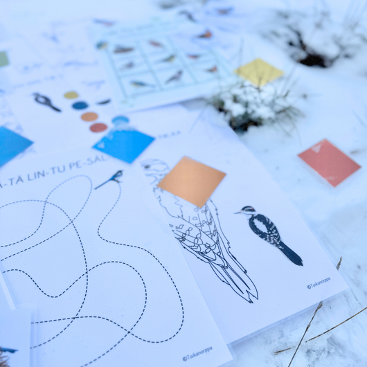 Materiaalia talvilintujen parissa (lasten pihabongaus 25.–26.1.2025)