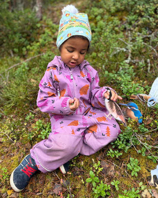 Lintulorut osa 2 (talvilintujen pihabongausta vietetään 24.–25.1.2026!)