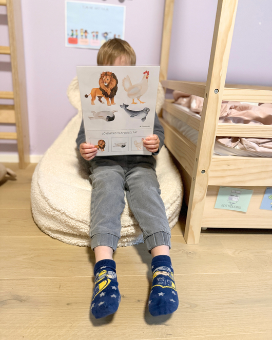 Löydätkö yläpuolelta (yli 3-vuotiaiden versio)