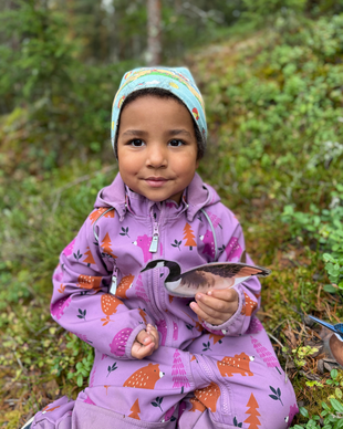 Lintulorut osa 2 (talvilintujen pihabongausta vietetään 24.–25.1.2026!)