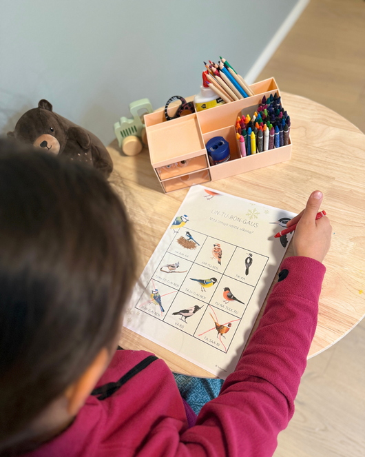 Materiaalia talvilintujen parissa (lasten pihabongaus 24.–25.1.2026)