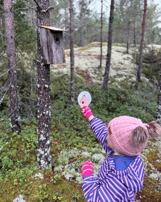 Kevätloruja lapsille