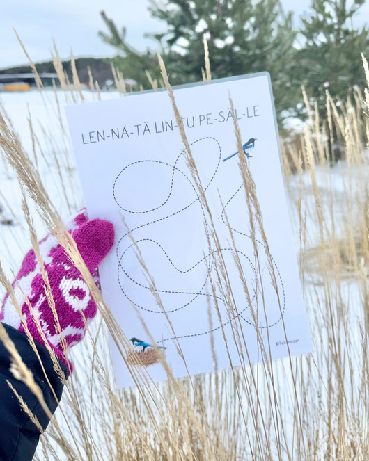 Materiaalia talvilintujen parissa (lasten pihabongaus 24.–25.1.2026)