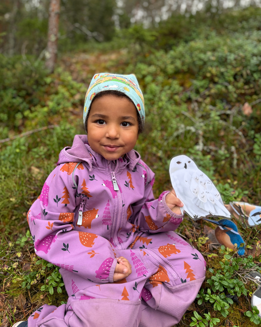 Lintulorut osa 2 (talvilintujen pihabongausta vietetään 24.–25.1.2026!)