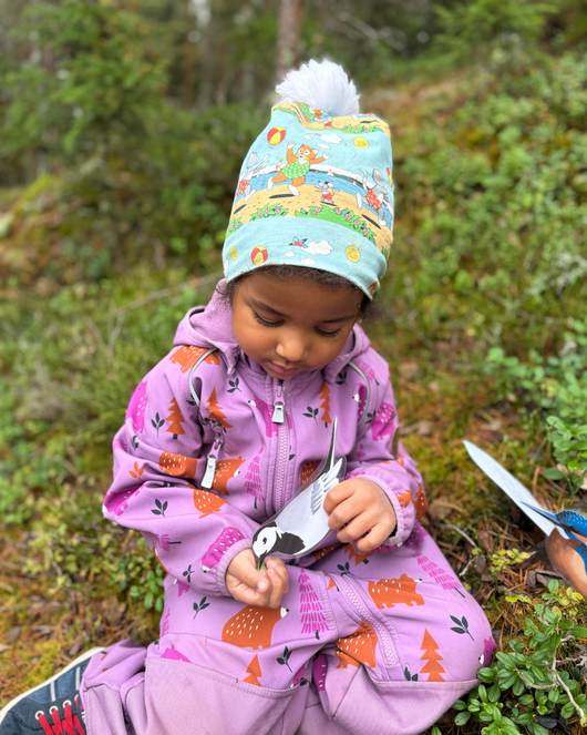 Lintulorut osa 2 (talvilintujen pihabongausta vietetään 24.–25.1.2026!)