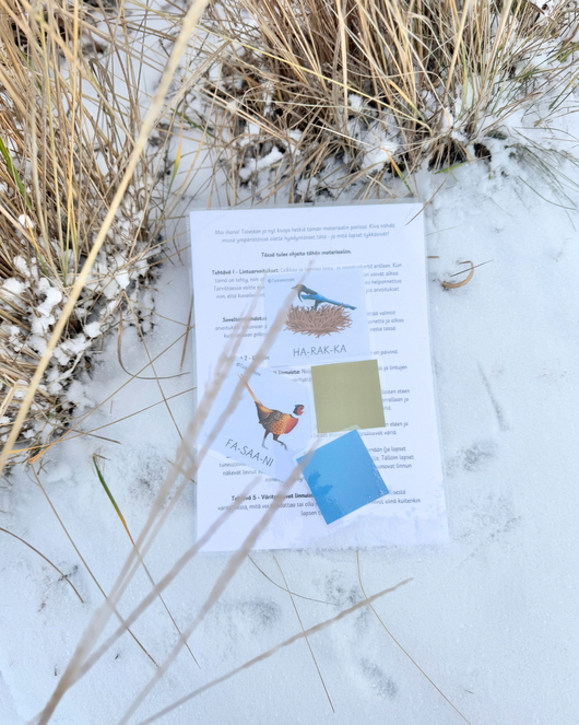 Materiaalia talvilintujen parissa (lasten pihabongaus 24.–25.1.2026)