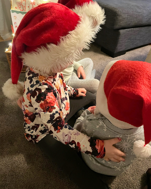 Jouluisia satuhierontoja - Saimaannorpan matkassa