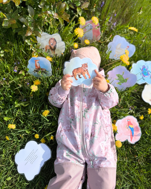 Taika-arkku aamupiireihin (12 tuotetta)