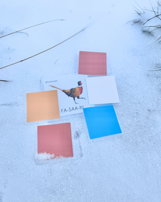 Materiaalia talvilintujen parissa (lasten pihabongaus 24.–25.1.2026)