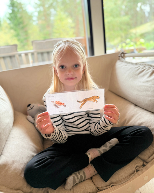 Taika-arkku aamupiireihin (12 tuotetta)