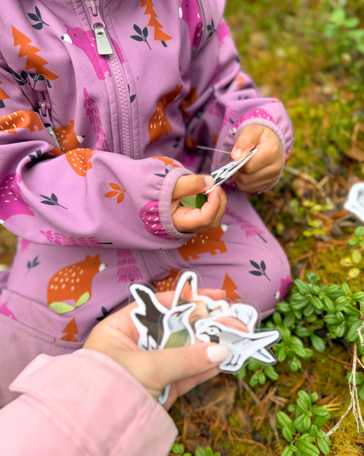 Materiaalia lasten lintuviikkoon 11.-17.5.2026