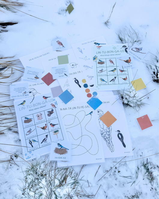 Materiaalia talvilintujen parissa (lasten pihabongaus 24.–25.1.2026)