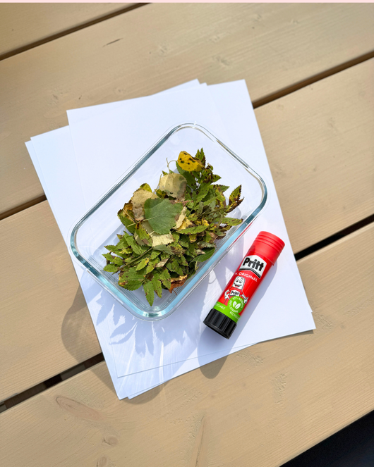 Kirjaimet + ilmaisun monet muodot yhdistettynä