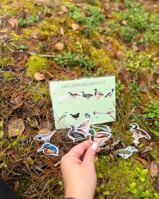Materiaalia lasten lintuviikkoon 11.-17.5.2026