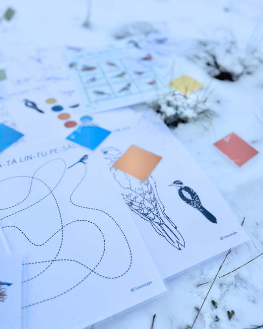 Materiaalia talvilintujen parissa (lasten pihabongaus 24.–25.1.2026)
