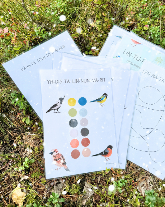 Materiaalia talvilintujen parissa (lasten pihabongaus 24.–25.1.2026)