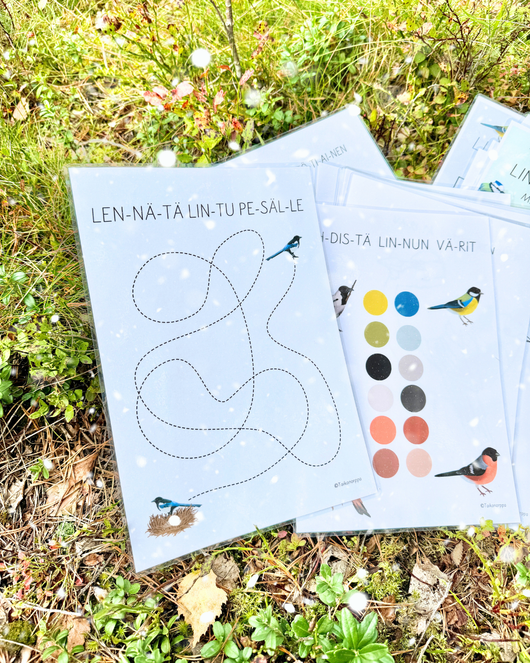 Materiaalia talvilintujen parissa (lasten pihabongaus 24.–25.1.2026)