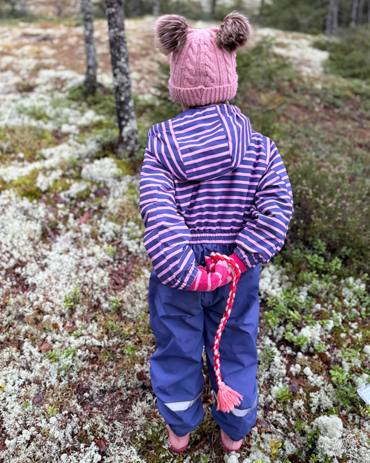 Eläinprojekti (kahdeksan päivää)