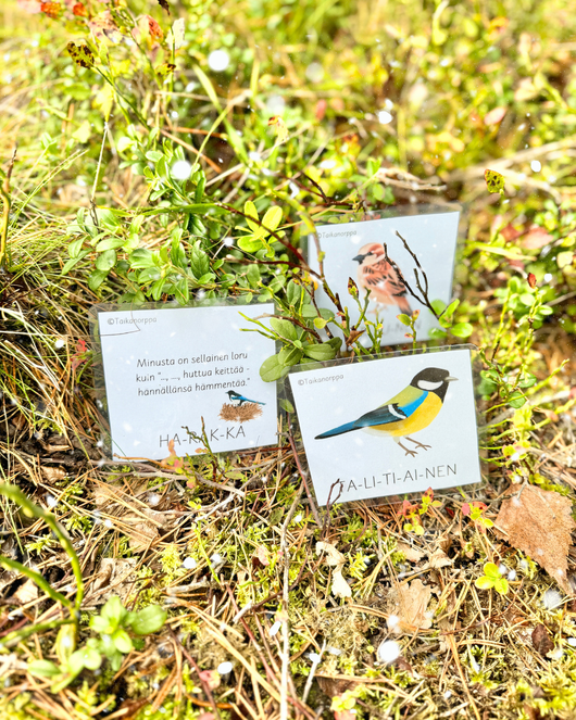 Materiaalia talvilintujen parissa (lasten pihabongaus 24.–25.1.2026)