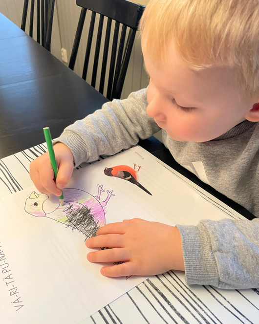 Materiaalia talvilintujen parissa (lasten pihabongaus 24.–25.1.2026)