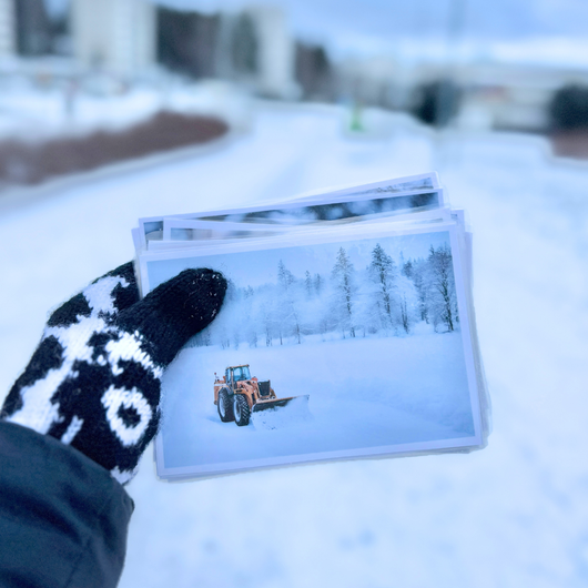 Talvivalokuvia kysymyksineen ja teksteineen