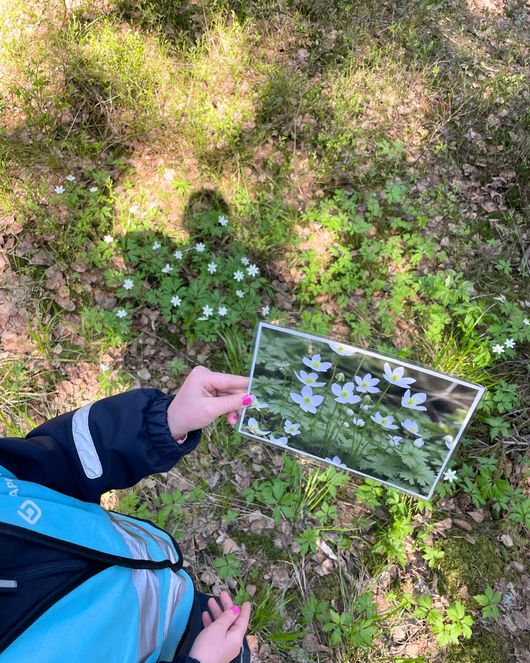 Kevätvalokuvia kysymyksineen ja teksteineen lapsille