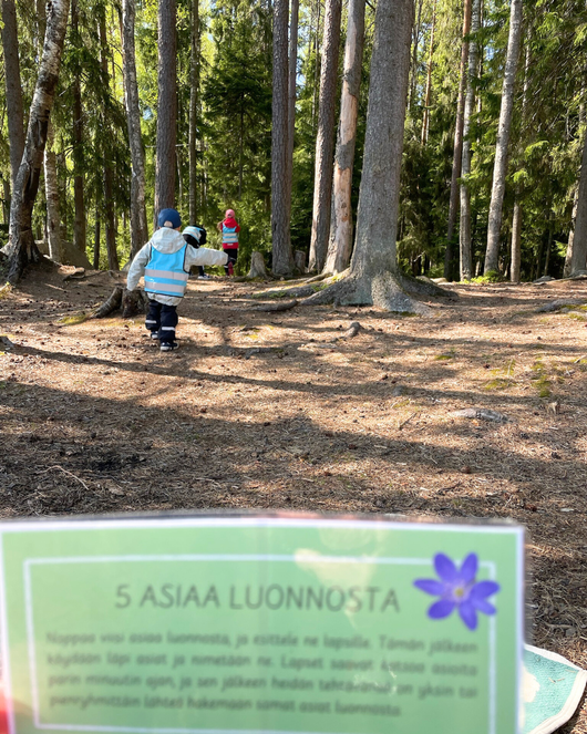 27 metsätehtävää lasten kanssa