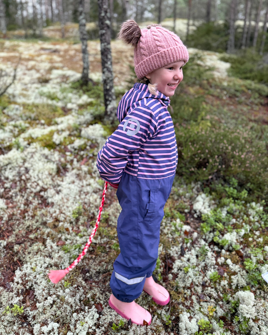 Eläinprojekti (kahdeksan päivää)