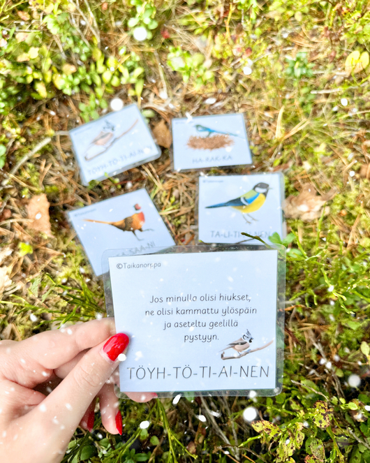 Materiaalia talvilintujen parissa (lasten pihabongaus 24.–25.1.2026)