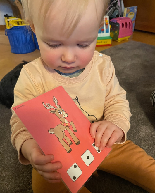 Yhdistä nopan silmäluku kuvaan