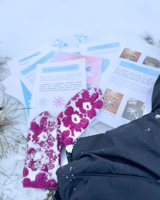 Lumiprojekti (sopii lumipäiviin 18.1.2026)