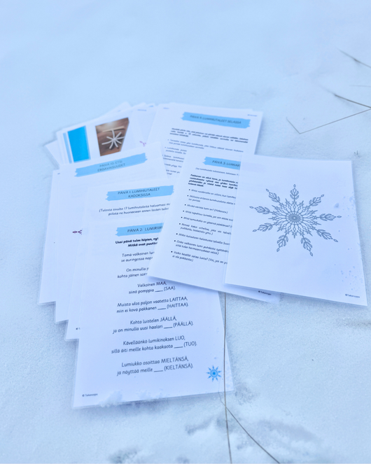 Lumiprojekti (sopii lumipäiviin 18.1.2026)