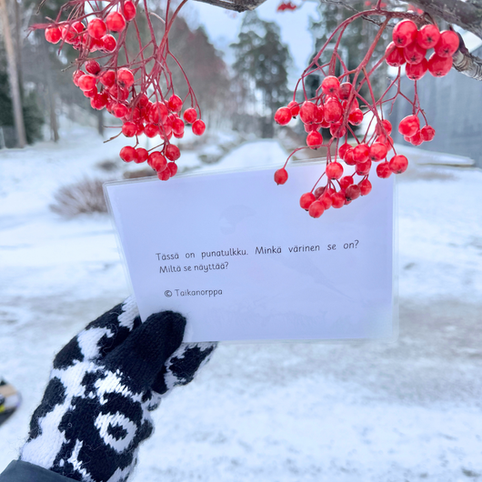 Talvivalokuvia kysymyksineen ja teksteineen