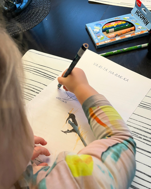 Materiaalia talvilintujen parissa (lasten pihabongaus 24.–25.1.2026)