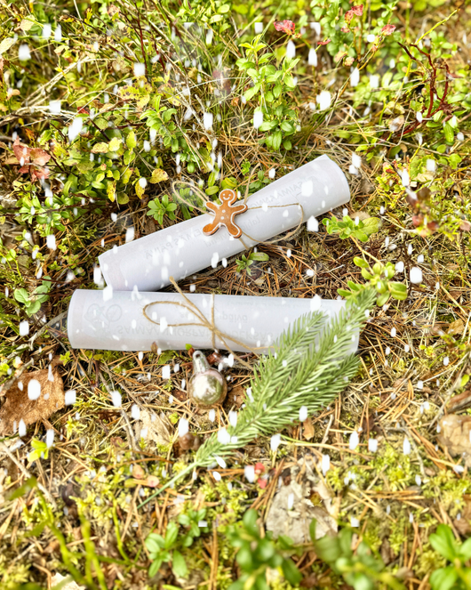 Jouluisia satuhierontoja - Saimaannorpan matkassa