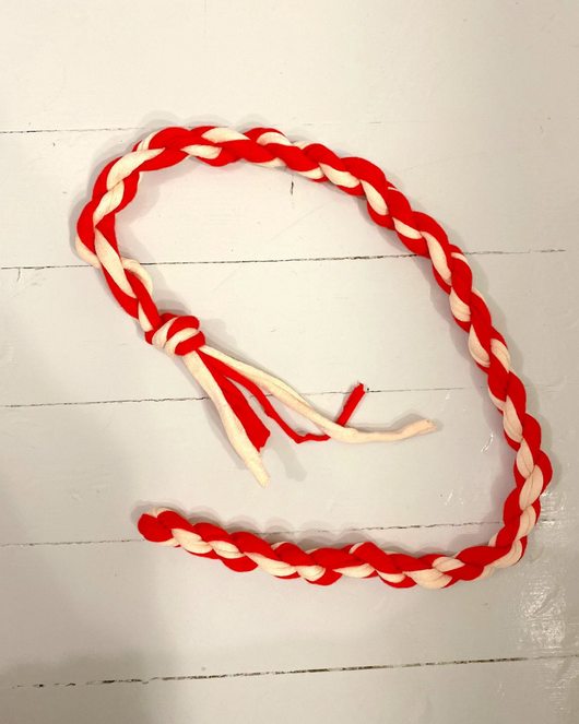 Eläinprojekti (kahdeksan päivää)