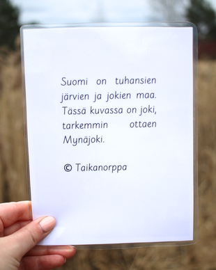 Kesävalokuvia kysymyksineen ja teksteineen