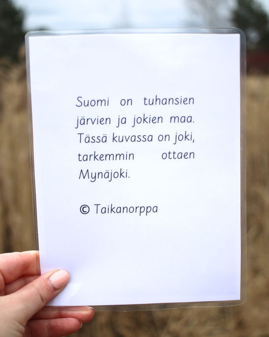 Kesävalokuvia kysymyksineen ja teksteineen