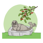 Luonto & ympäristö