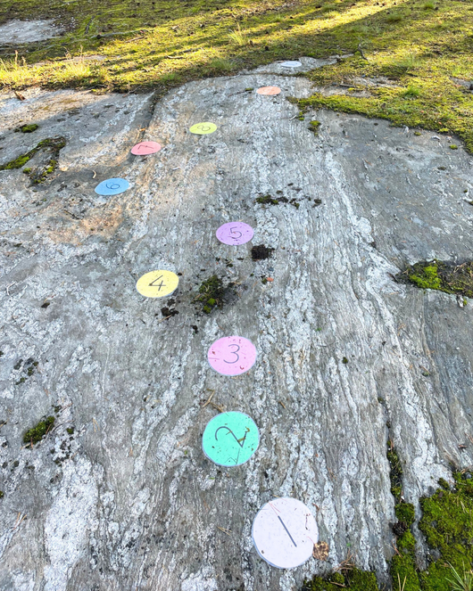 Toiminnallinen matikka 1