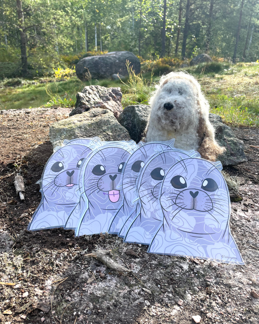 Suujumppakortit norpan kanssa 