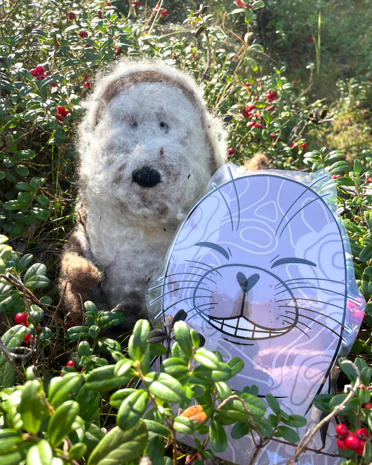 Suujumppakortit norpan kanssa 