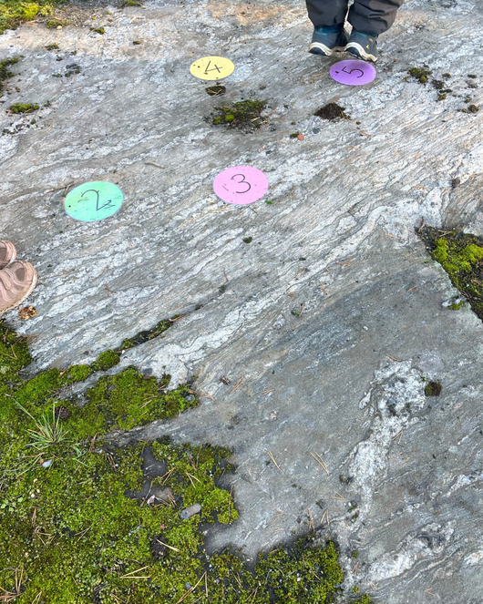 Toiminnallinen matikka 1