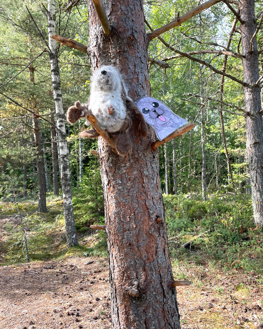 Suujumppakortit norpan kanssa 