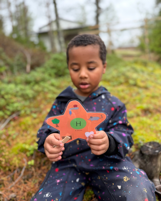 Alkukirjaintähdet (P, R, K, H, S, M, T, L ja N)