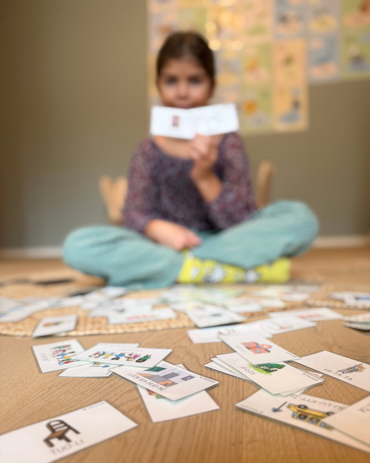 S2-materiaalia osa 2: Opetellaan koulusanastoa 