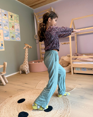 Eläinliikuntakortit