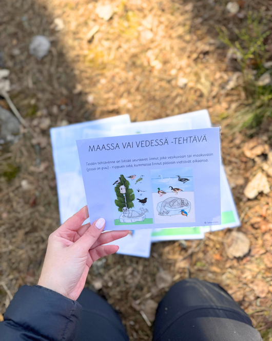 Materiaalia lasten lintuviikkoon 12.–18.5.2025