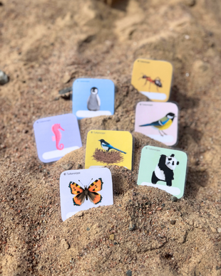 Nimikortit lapsille