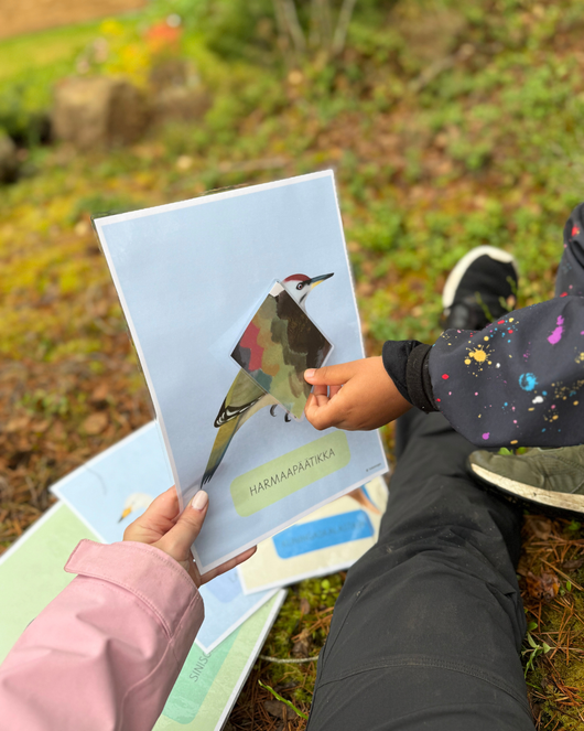 Materiaalia lasten lintuviikkoon 11.-17.5.2026